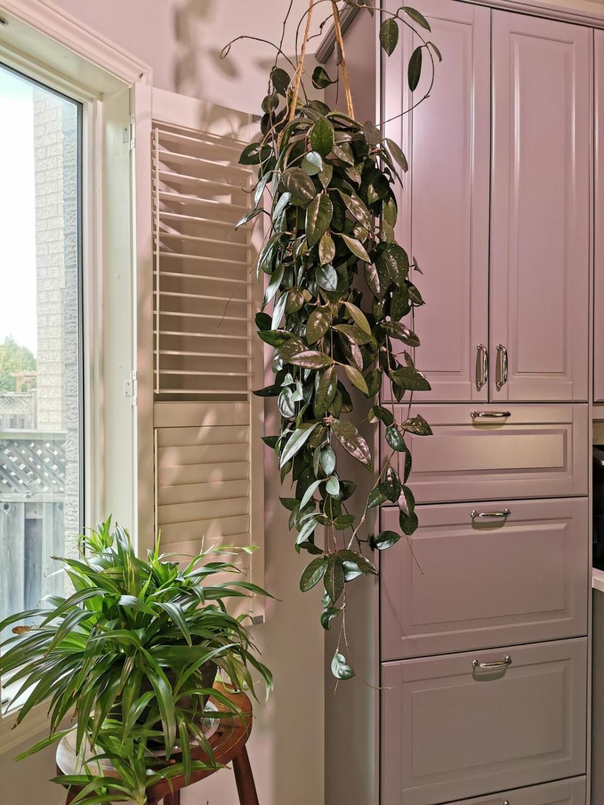 4 Bedroom 3 Washroom Charming Home In Markham With Warm Cozy Vibe Exterior photo